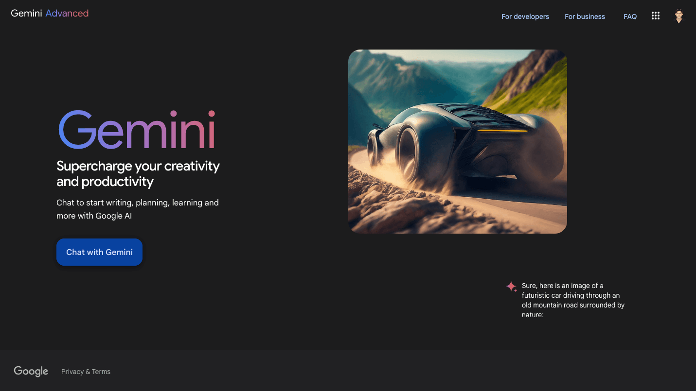 Gemini product preview