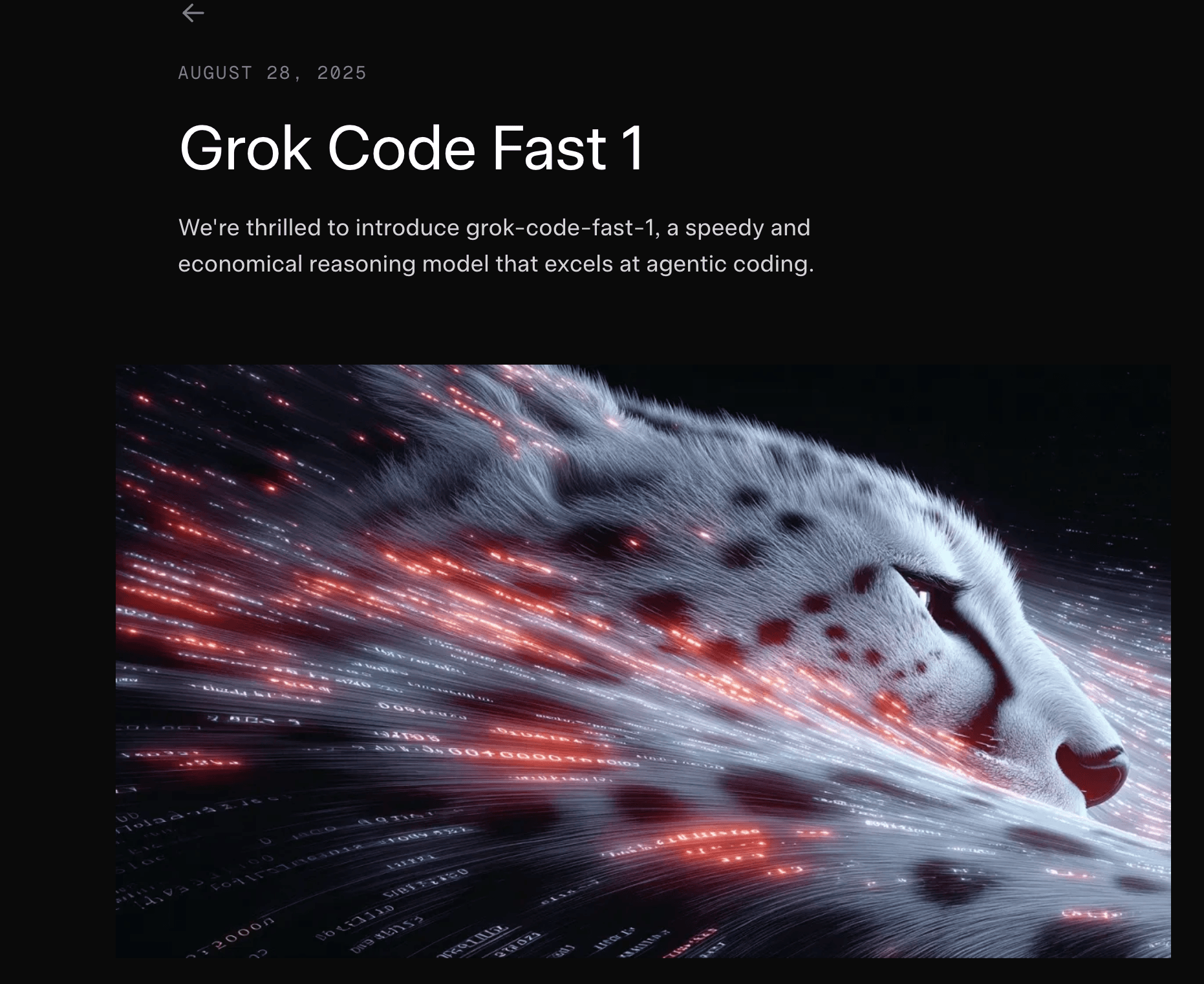 Grok Code Fast 1 product preview