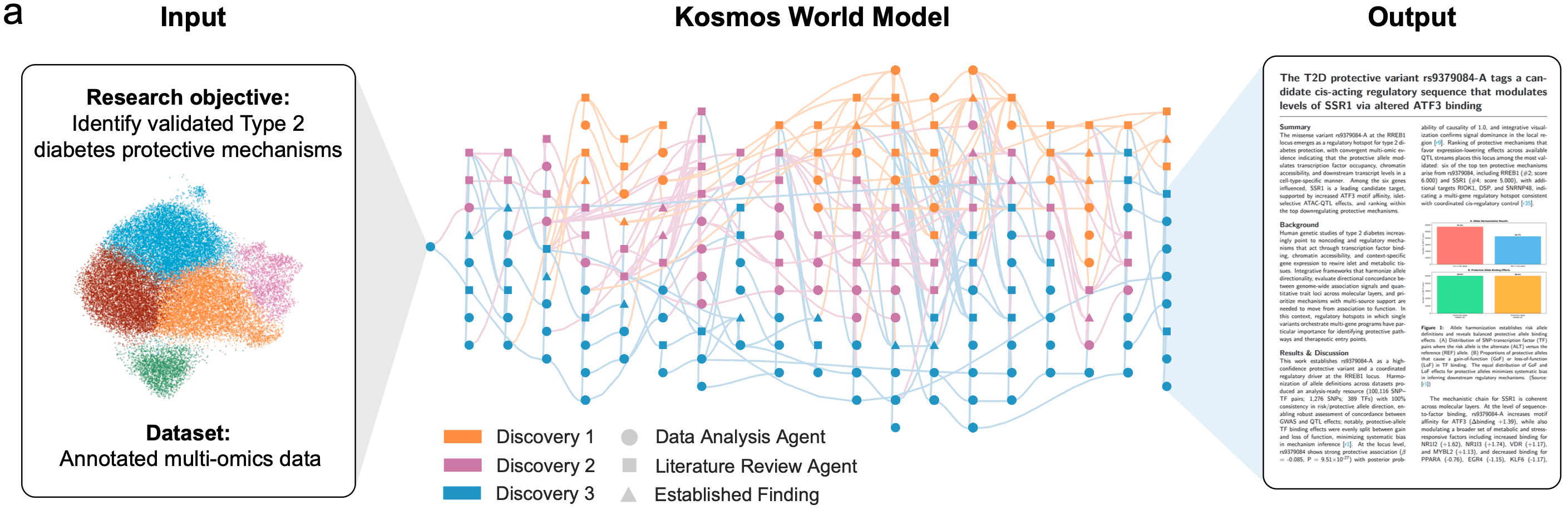 Kosmos product preview