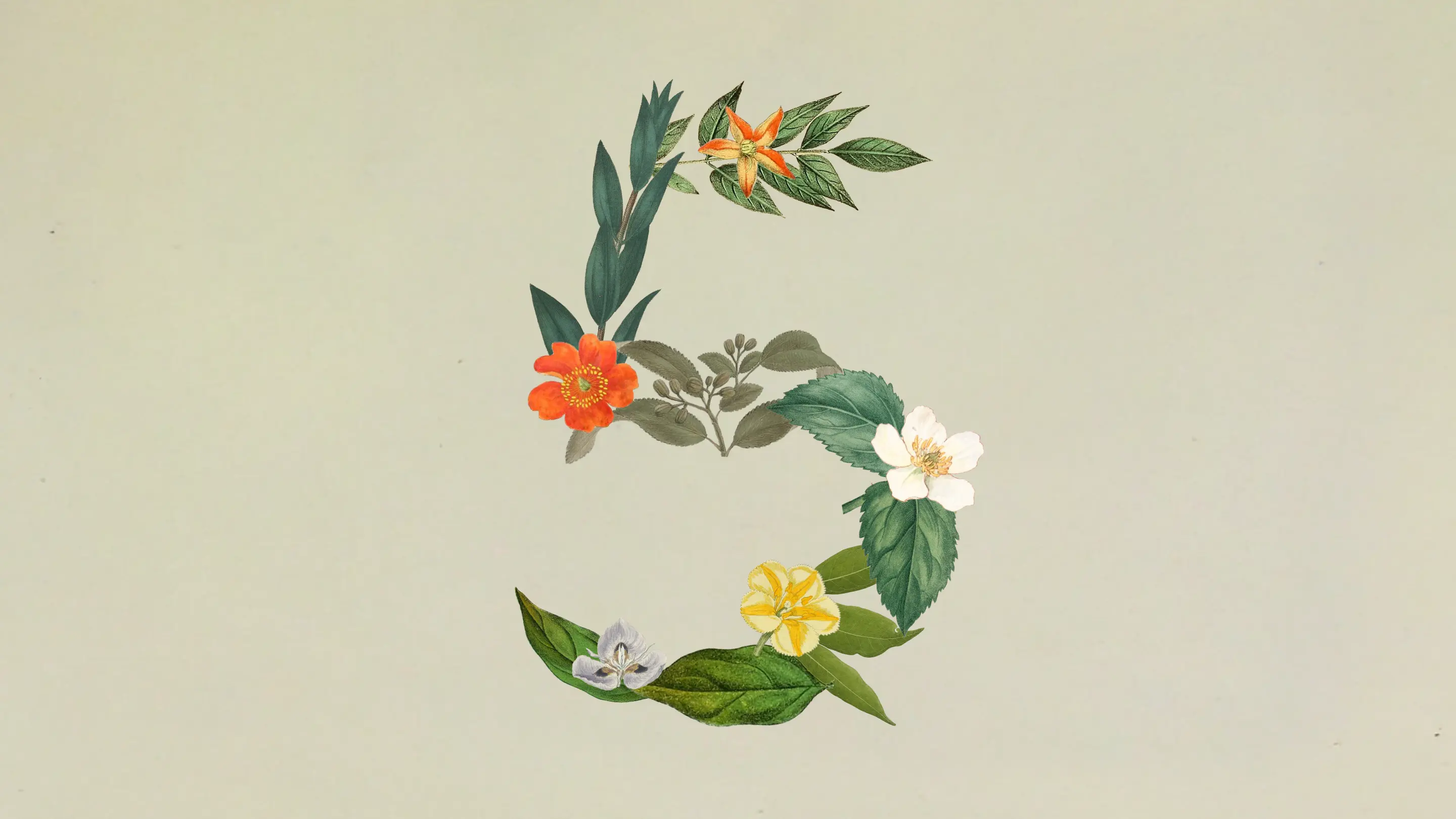 Claude Sonnet 5 product preview