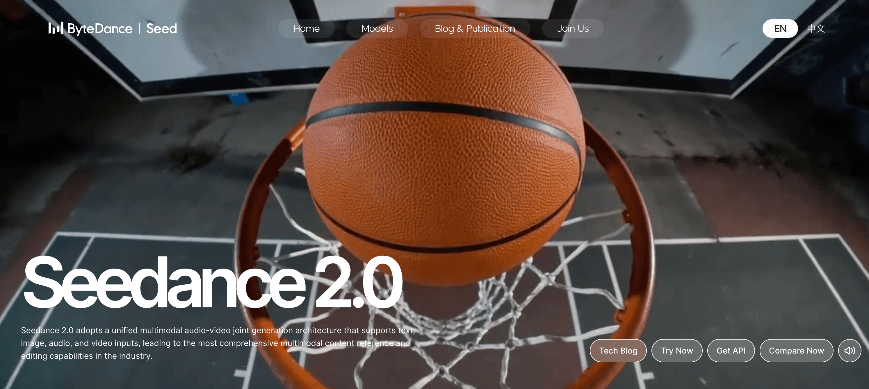 Seedance 2.0 product preview