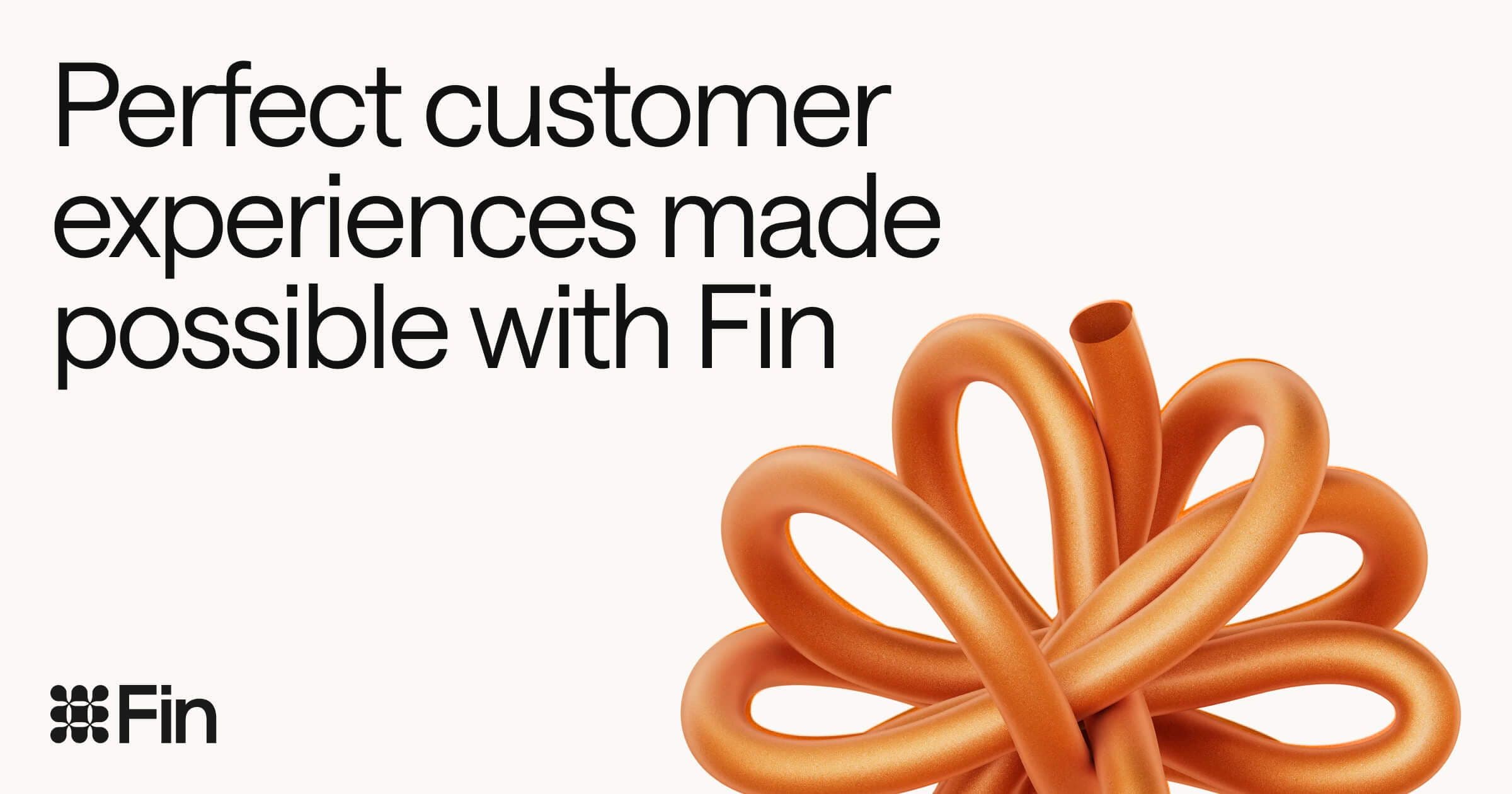 Fin product preview
