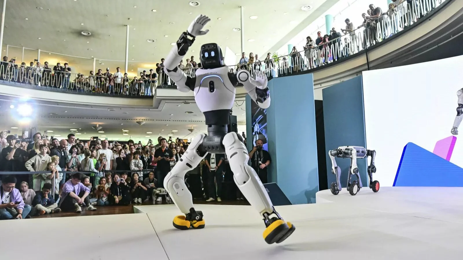 Robots on the runway at IFA 2026 — newsletter story image