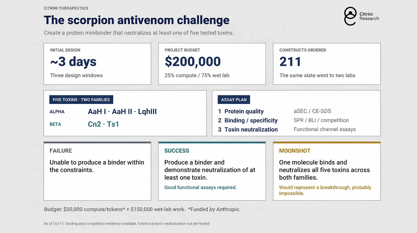 Anthropic’s Claude takes on scorpion antivenom — newsletter story image